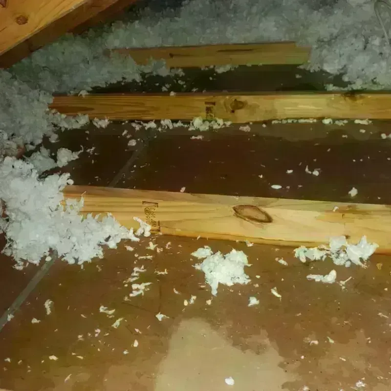 Attic Water Damage in Marion County, OH