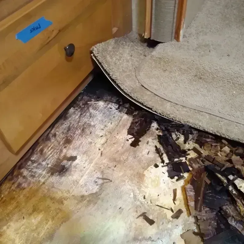 Wood Floor Water Damage in Marion County, OH